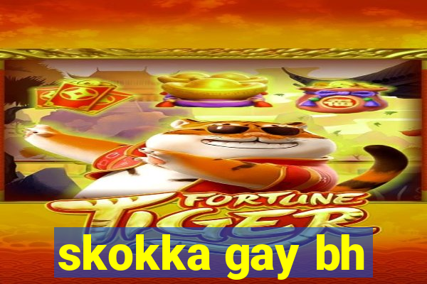 skokka gay bh